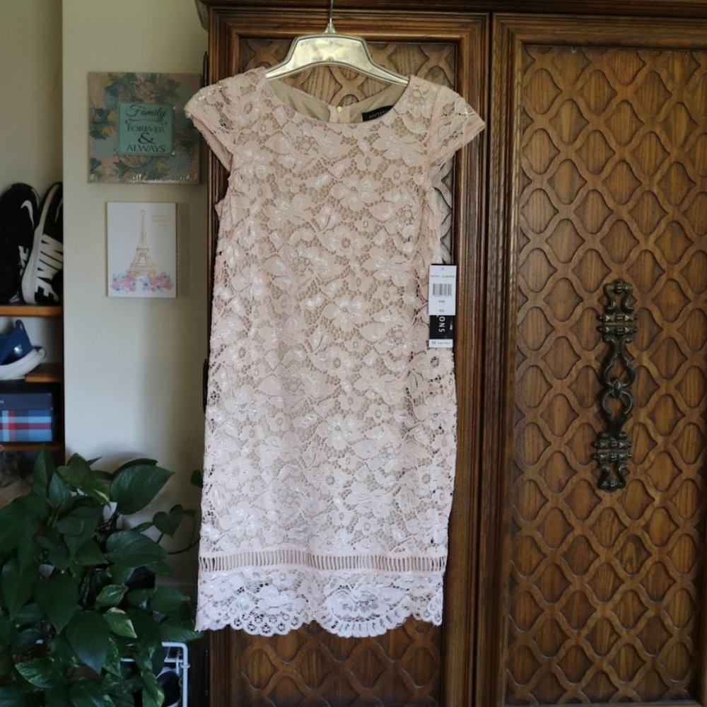 PERCEPTIONS New York Blush Nude Lace Sheath Dress - NWT! - Picture 2 of 16